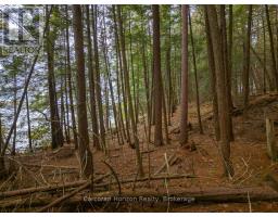 South Lot 18863 Kawagama Lake North Shore, Algonquin Highlands, ON P0A1E0 Photo 18
