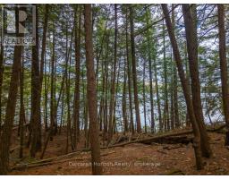 South Lot 18863 Kawagama Lake North Shore, Algonquin Highlands, ON P0A1E0 Photo 19