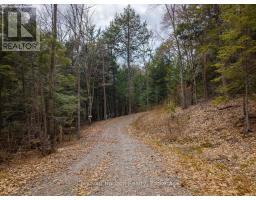 South Lot 18863 Kawagama Lake North Shore, Algonquin Highlands, ON P0A1E0 Photo 20