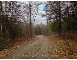 South Lot 18863 Kawagama Lake North Shore, Algonquin Highlands, ON P0A1E0 Photo 23