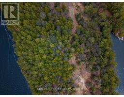 North Lot 18863 Kawagama Lake North Shore Drive, Algonquin Highlands, ON P0A1E0 Photo 10