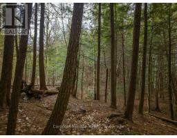 North Lot 18863 Kawagama Lake North Shore Drive, Algonquin Highlands, ON P0A1E0 Photo 14