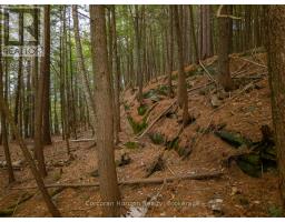 North Lot 18863 Kawagama Lake North Shore Drive, Algonquin Highlands, ON P0A1E0 Photo 16
