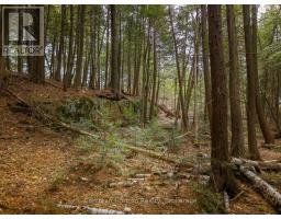 North Lot 18863 Kawagama Lake North Shore Drive, Algonquin Highlands, ON P0A1E0 Photo 17