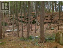 North Lot 18863 Kawagama Lake North Shore Drive, Algonquin Highlands, ON P0A1E0 Photo 19