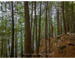 North Lot 18863 Kawagama Lake North Shore Drive, Algonquin Highlands, ON P0A1E0 Photo 20