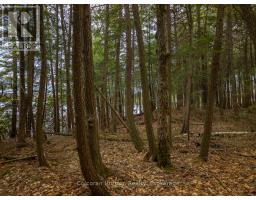 North Lot 18863 Kawagama Lake North Shore Drive, Algonquin Highlands, ON P0A1E0 Photo 21