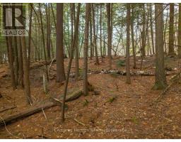North Lot 18863 Kawagama Lake North Shore Drive, Algonquin Highlands, ON P0A1E0 Photo 22