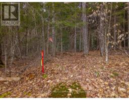 North Lot 18863 Kawagama Lake North Shore Drive, Algonquin Highlands, ON P0A1E0 Photo 24