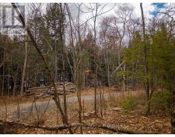 North Lot 18863 Kawagama Lake North Shore Drive, Algonquin Highlands, ON P0A1E0 Photo 25