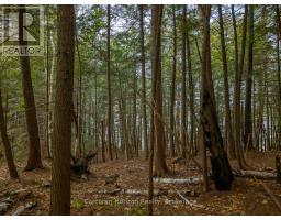 North Lot 18863 Kawagama Lake North Shore Drive, Algonquin Highlands, ON P0A1E0 Photo 26