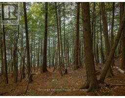 North Lot 18863 Kawagama Lake North Shore Drive, Algonquin Highlands, ON P0A1E0 Photo 27