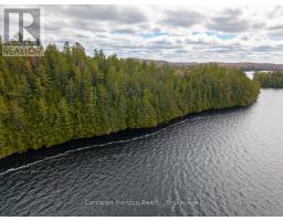 North Lot 18863 Kawagama Lake North Shore Drive, Algonquin Highlands, ON P0A1E0 Photo 29