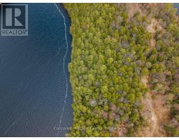 North Lot 18863 Kawagama Lake North Shore Drive, Algonquin Highlands, ON P0A1E0 Photo 31