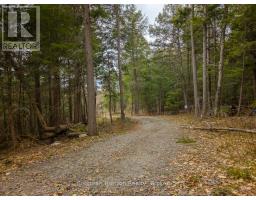 North Lot 18863 Kawagama Lake North Shore Drive, Algonquin Highlands, ON P0A1E0 Photo 6