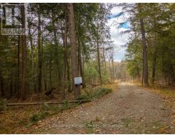North Lot 18863 Kawagama Lake North Shore Drive, Algonquin Highlands, ON P0A1E0 Photo 7