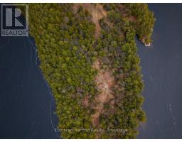 North Lot 18863 Kawagama Lake North Shore Drive, Algonquin Highlands, ON P0A1E0 Photo 9