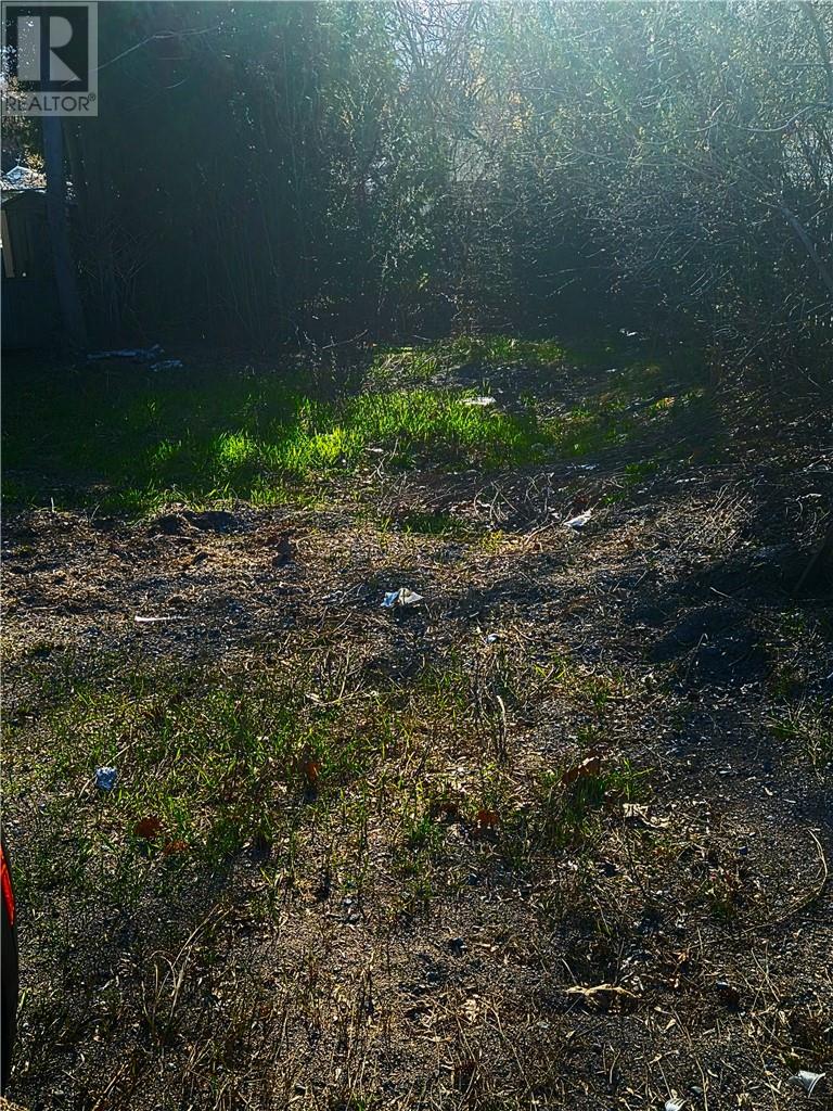 523 Tedman Avenue, Sudbury — photo 2