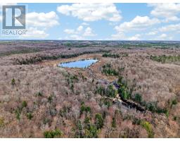 1170 Peter Road, Bracebridge, ON P1L1X3 Photo 33