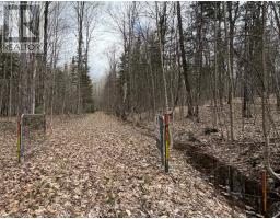 1170 Peter Road, Bracebridge, ON P1L1X3 Photo 39