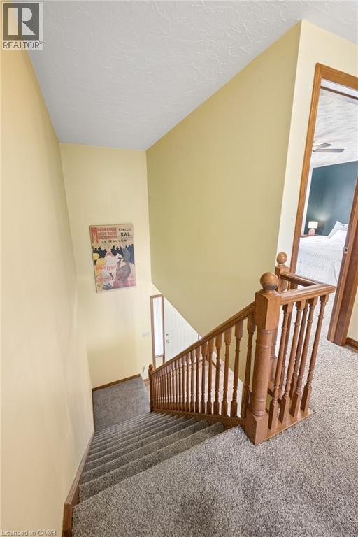 53 BOCK Court - 31