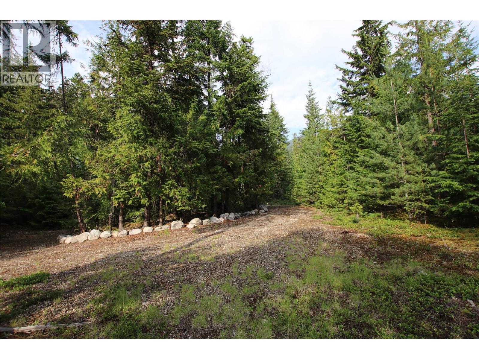 Vacant Land for Sale in Nakusp – 854 Alexander Road, Nakusp - Image 10
