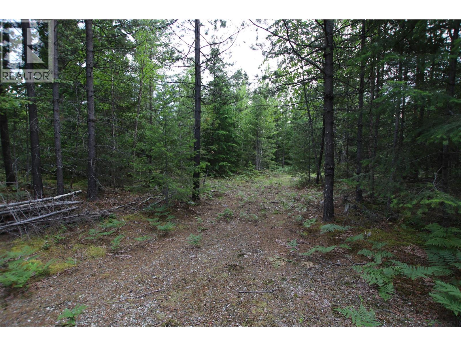 Vacant Land for Sale in Nakusp – 854 Alexander Road, Nakusp - Image 5