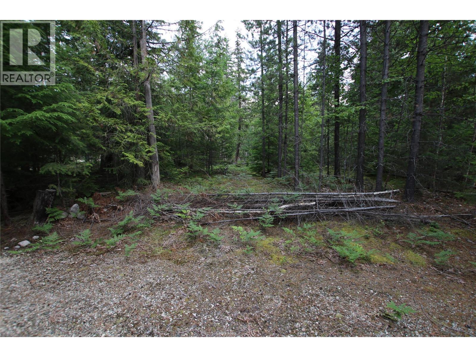 Vacant Land for Sale in Nakusp – 854 Alexander Road, Nakusp - Image 13