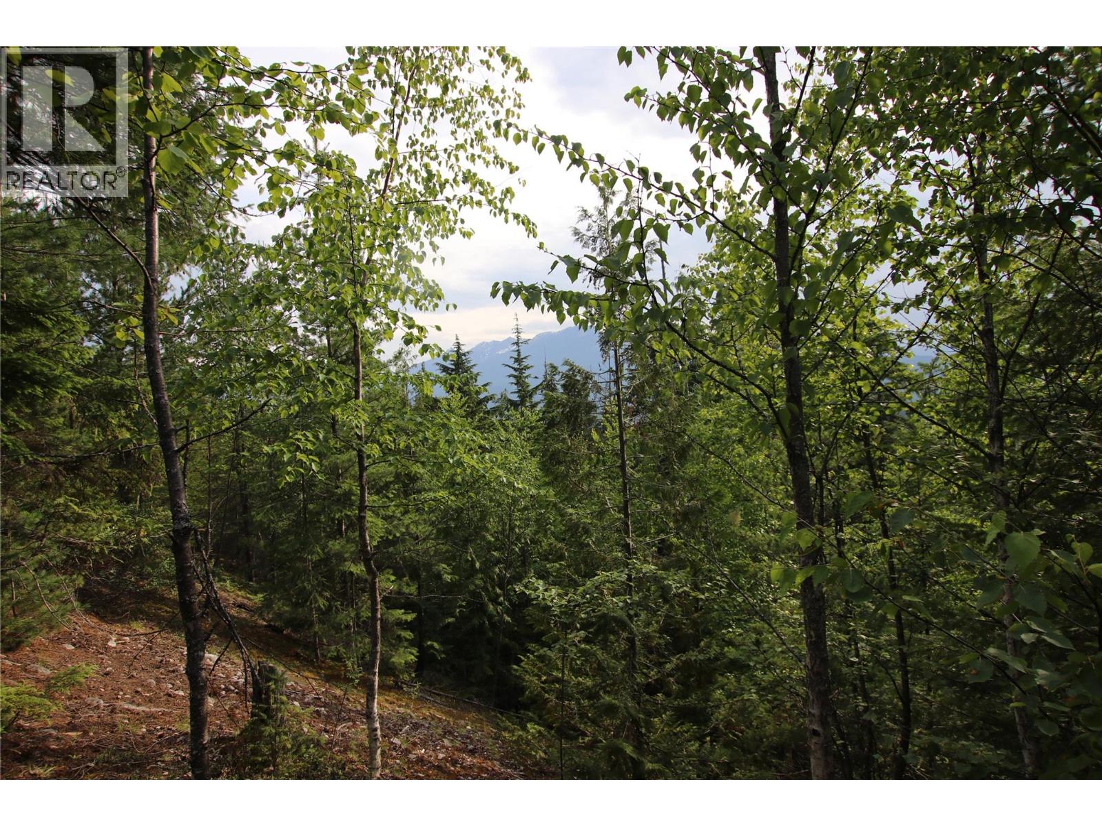 Vacant Land for Sale in Nakusp – 854 Alexander Road, Nakusp - Image 18