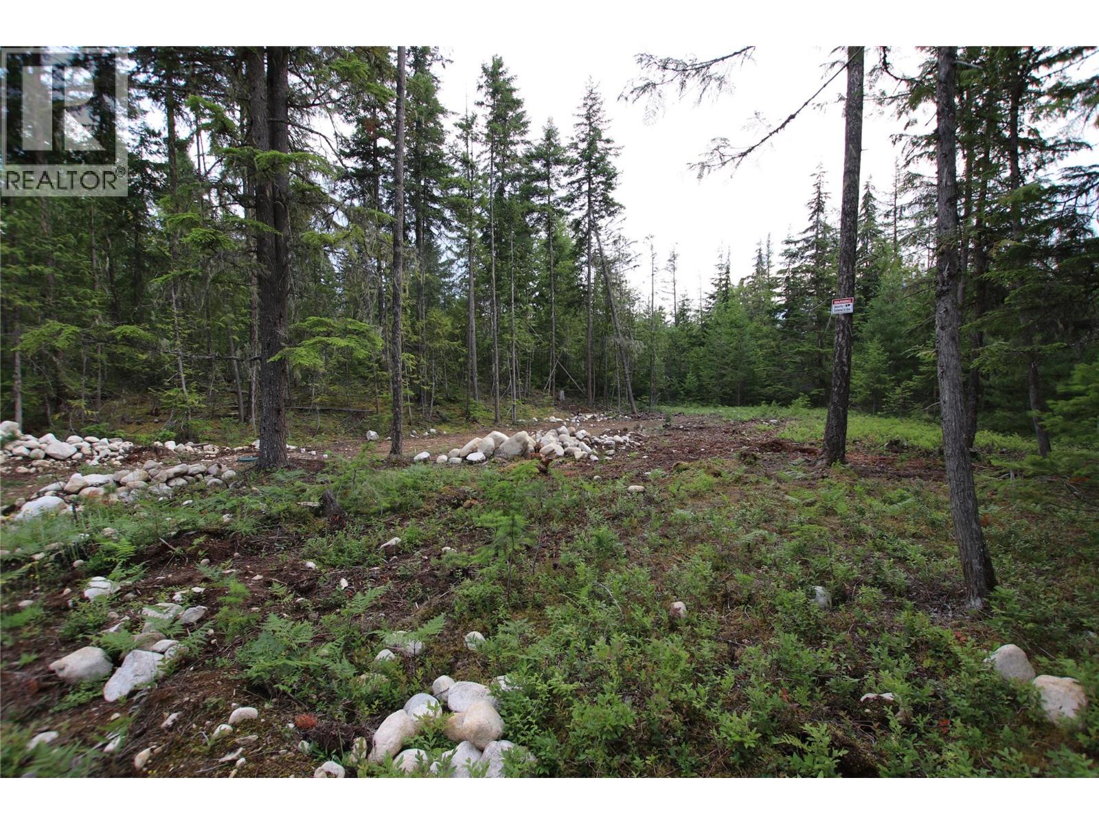 Vacant Land for Sale in Nakusp – 854 Alexander Road, Nakusp - Image 22