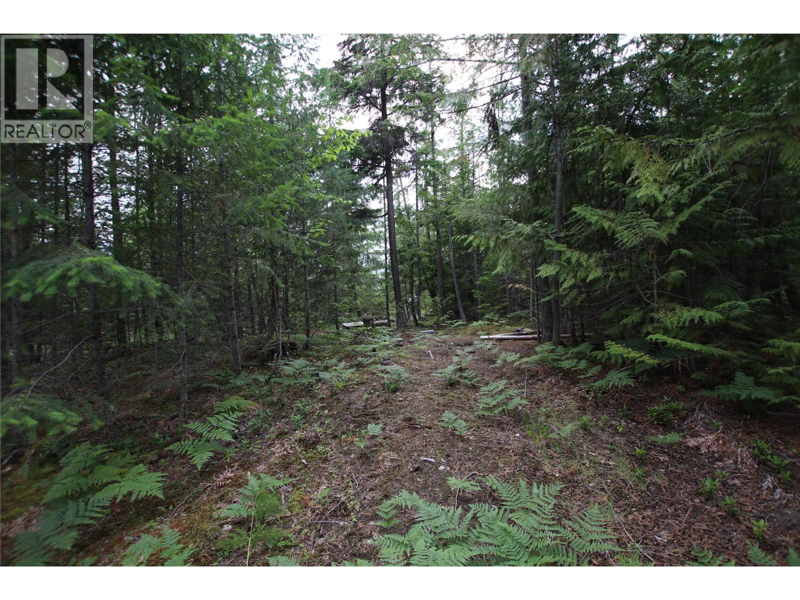 Vacant Land for Sale in Nakusp – 854 Alexander Road, Nakusp - Image 19