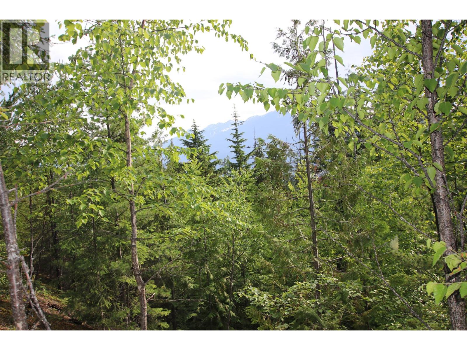 Vacant Land for Sale in Nakusp – 854 Alexander Road, Nakusp - Image 4