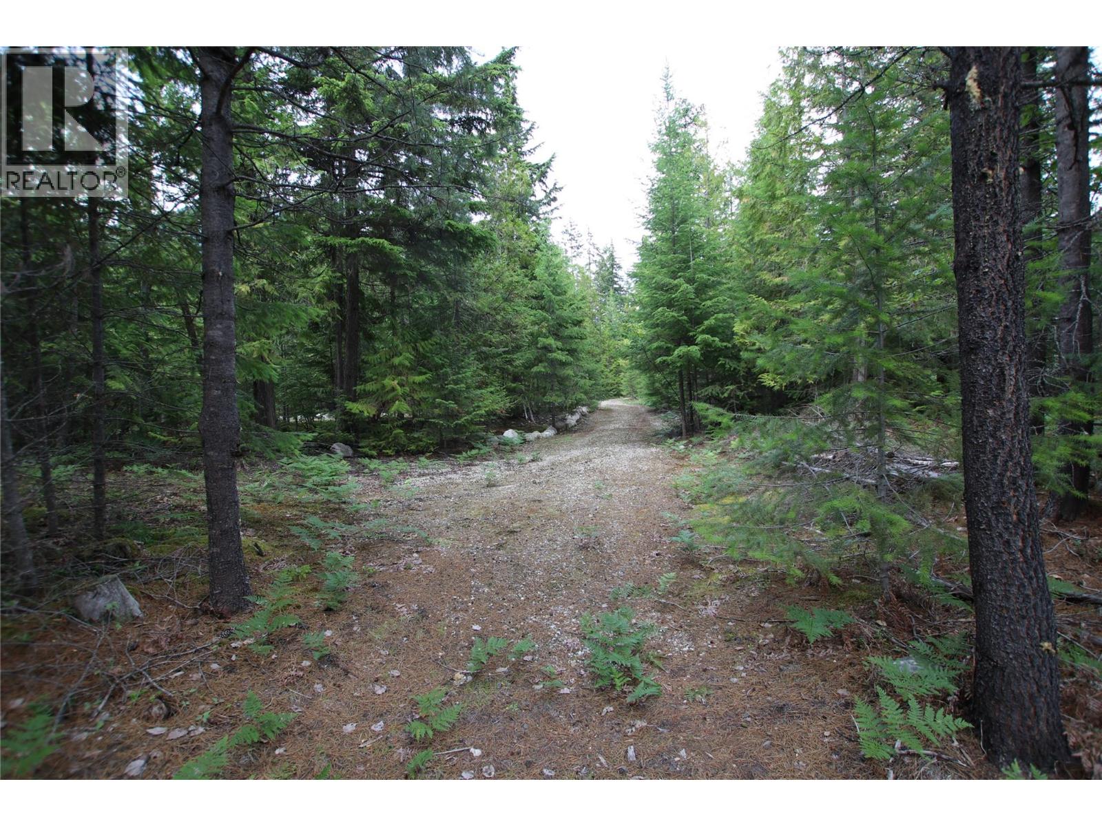 Vacant Land for Sale in Nakusp – 854 Alexander Road, Nakusp - Image 12