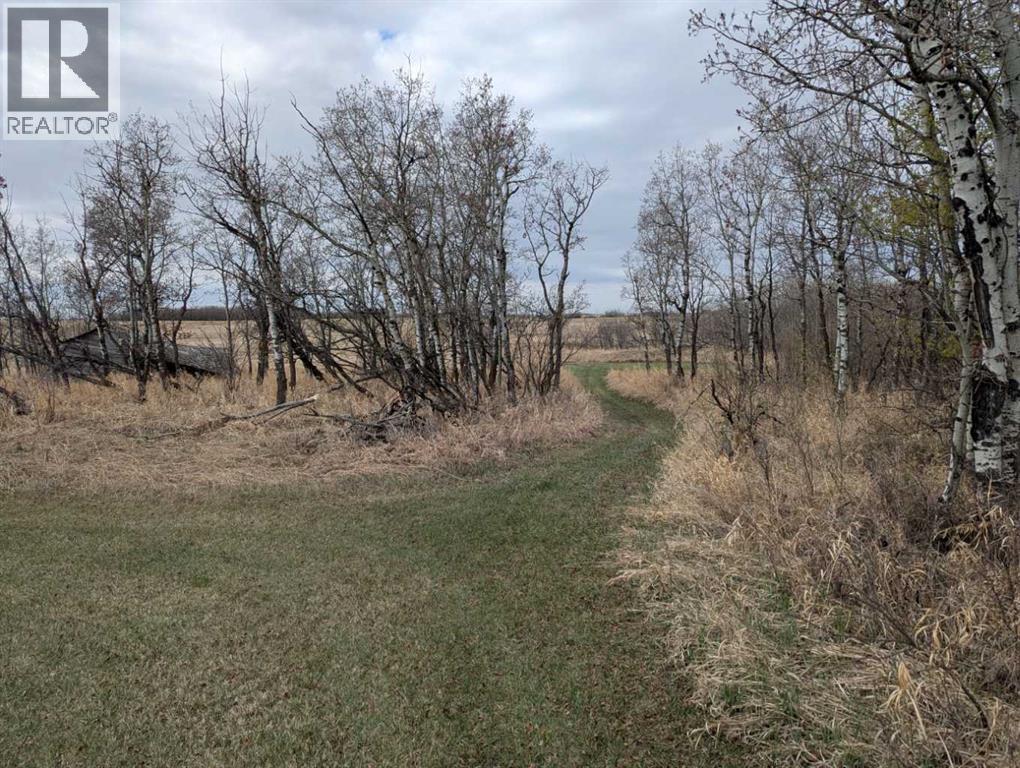49232 Range Road 173 — photo 11