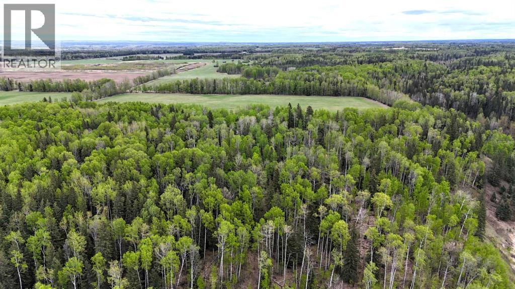 54431 Range Road 145A — photo 14