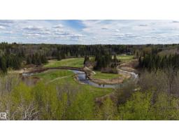 136 5509 Township Road 494, Rural Brazeau County, AB T0C1W0 Photo 6