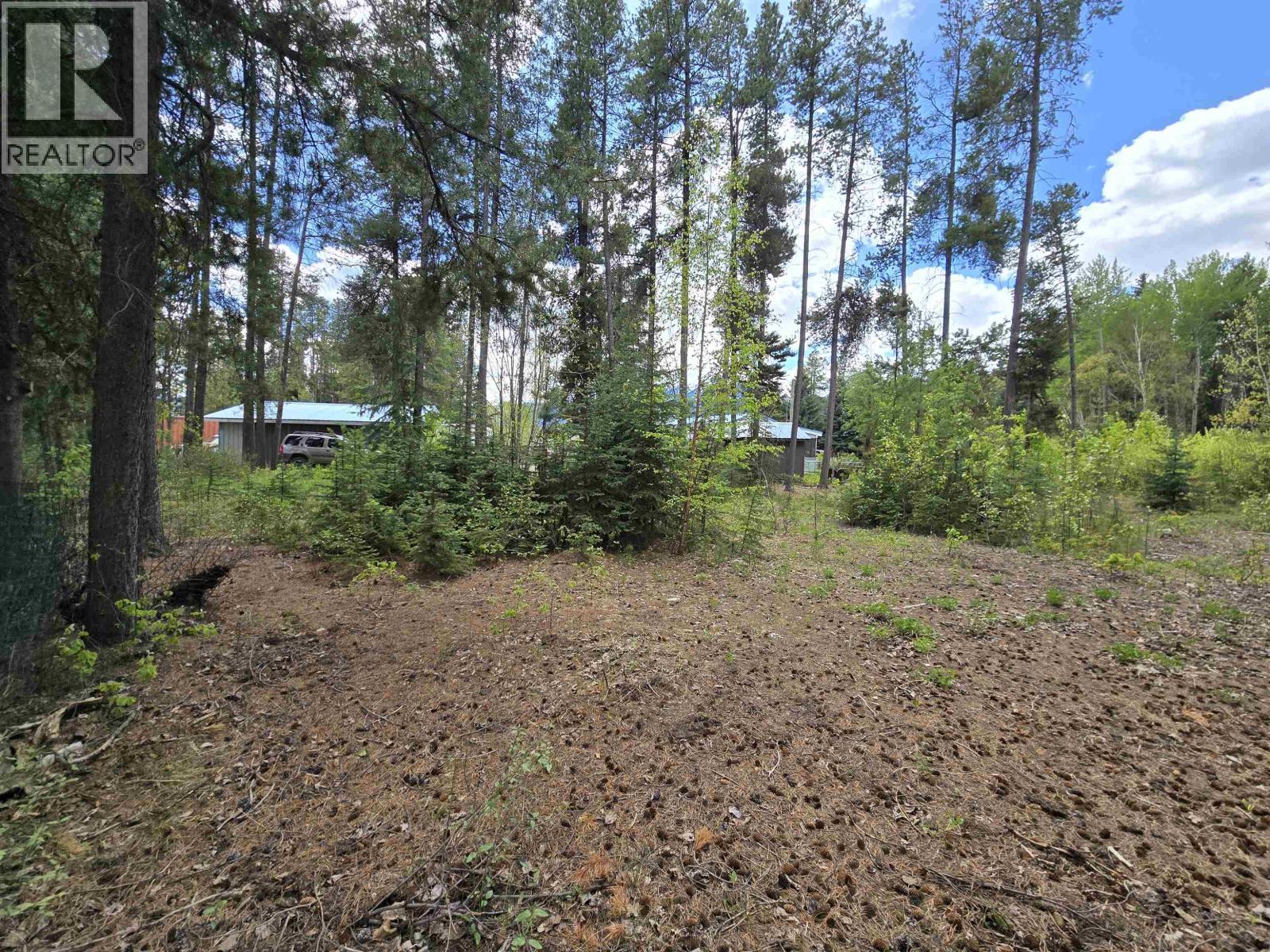 1430 GRENFELL PLACE, Valemount — photo 3