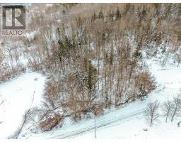Lot Myrtle Road, Bear River, NS B0S1B0 Photo 8