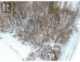 Lot Myrtle Road, Bear River, NS B0S1B0 Photo 13