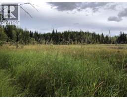 Dl 4260 E Palling Road, Burns Lake, BC V0J1E1 Photo 6