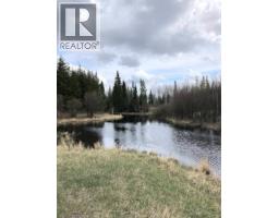 Dl 4260 E Palling Road, Burns Lake, BC V0J1E1 Photo 8