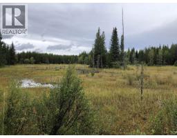 Dl 4260 E Palling Road, Burns Lake, BC V0J1E1 Photo 9
