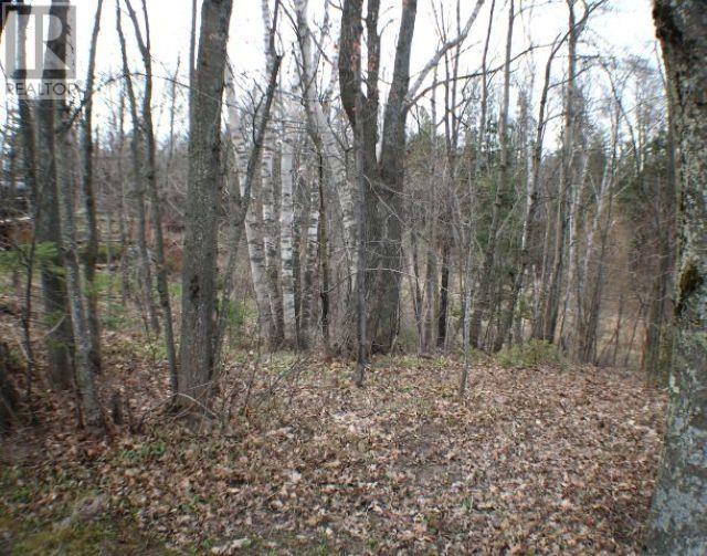 31 White Oak DR W, Sault Ste Marie, Ontario, P6C2H7 — Photo 14