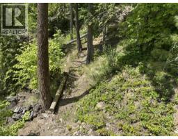 6432 Sunnybrae Canoe-point Road Lot# 5, Tappen, BC V0E2X1 Photo 36