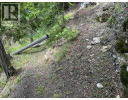 6432 Sunnybrae Canoe-point Road Lot# 5, Tappen, BC V0E2X1 Photo 57