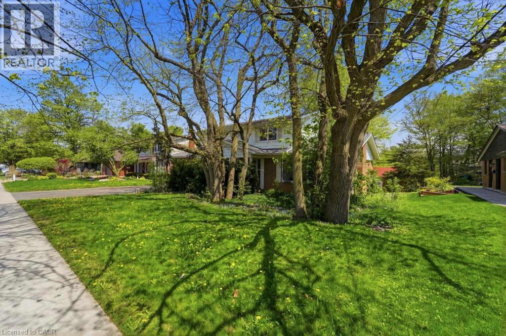 46 BIRCHCLIFF Avenue - 4