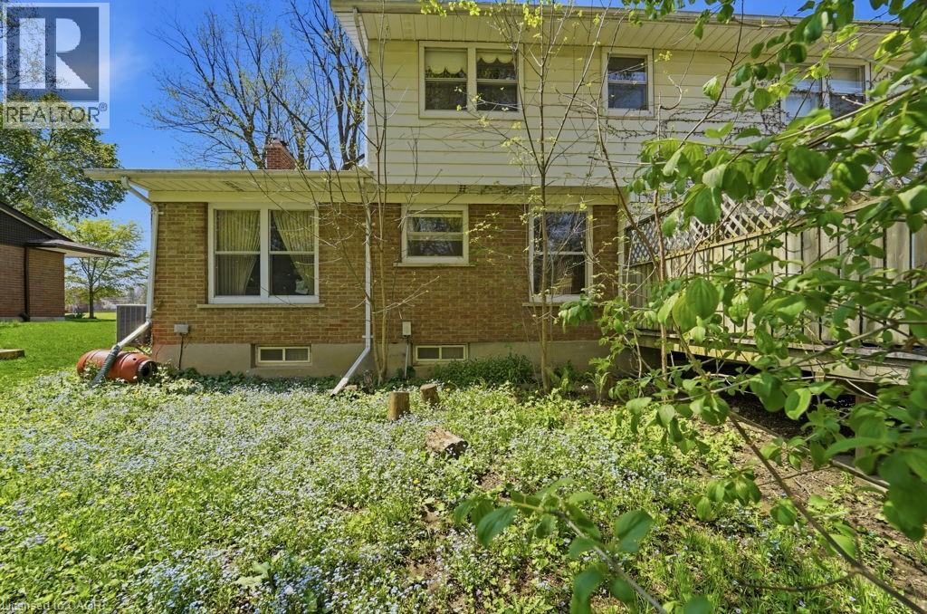 46 BIRCHCLIFF Avenue - 7