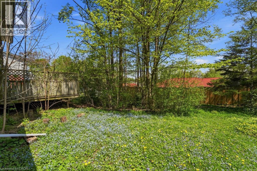 46 BIRCHCLIFF Avenue - 8