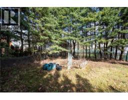 190 Maple Street, Moncton, NB E1C6A4 Photo 32