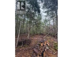 Lot 98-2 Dundas Road, Grande Digue, NB E4R4L5 Photo 6